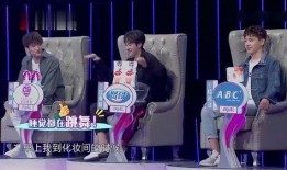 娱乐大爆料唱跳男嘉宾,揭秘唱跳男嘉宾背后的精彩故事