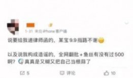 文轩粉丝爆料事件视频在线观看,揭秘事件背后真相