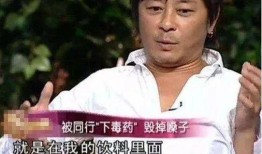 王杰香港娱乐圈爆料,揭秘娱乐圈背后的真相与内幕